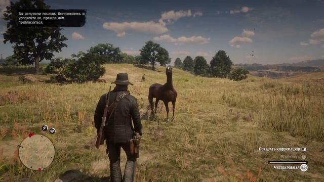 Где НАЙТИ самую РЕДКУЮ ЧИСТОКРОВНУЮ лошадь в Red Dead Redemption 2