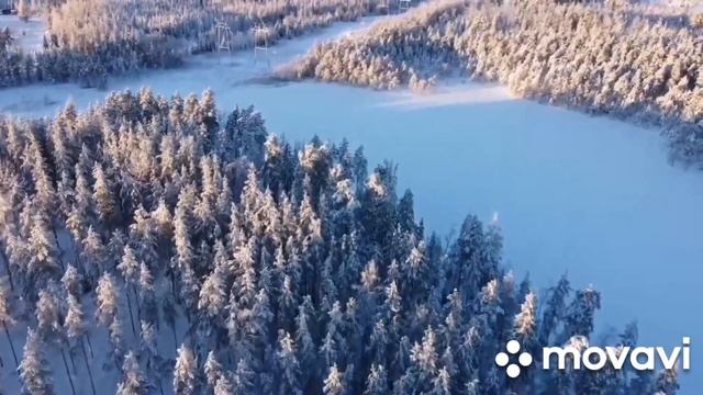 Зимний лес с высоты полёта птицы. Съёмки с дрона
