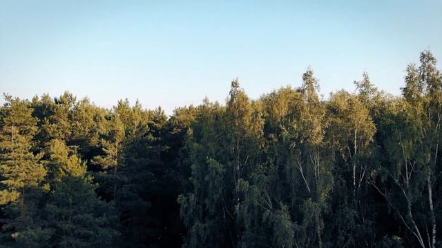 Душевная песня под гитару. Алена Ирина "Когда сойдут снега " смотреть онлайн