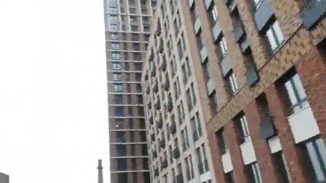 Чау-чау и новые дома в Марьино смотреть онлайн