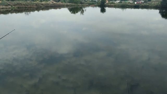 Утренняя рыбалка.1 часть поймали 7 карасей? смотреть онлайн