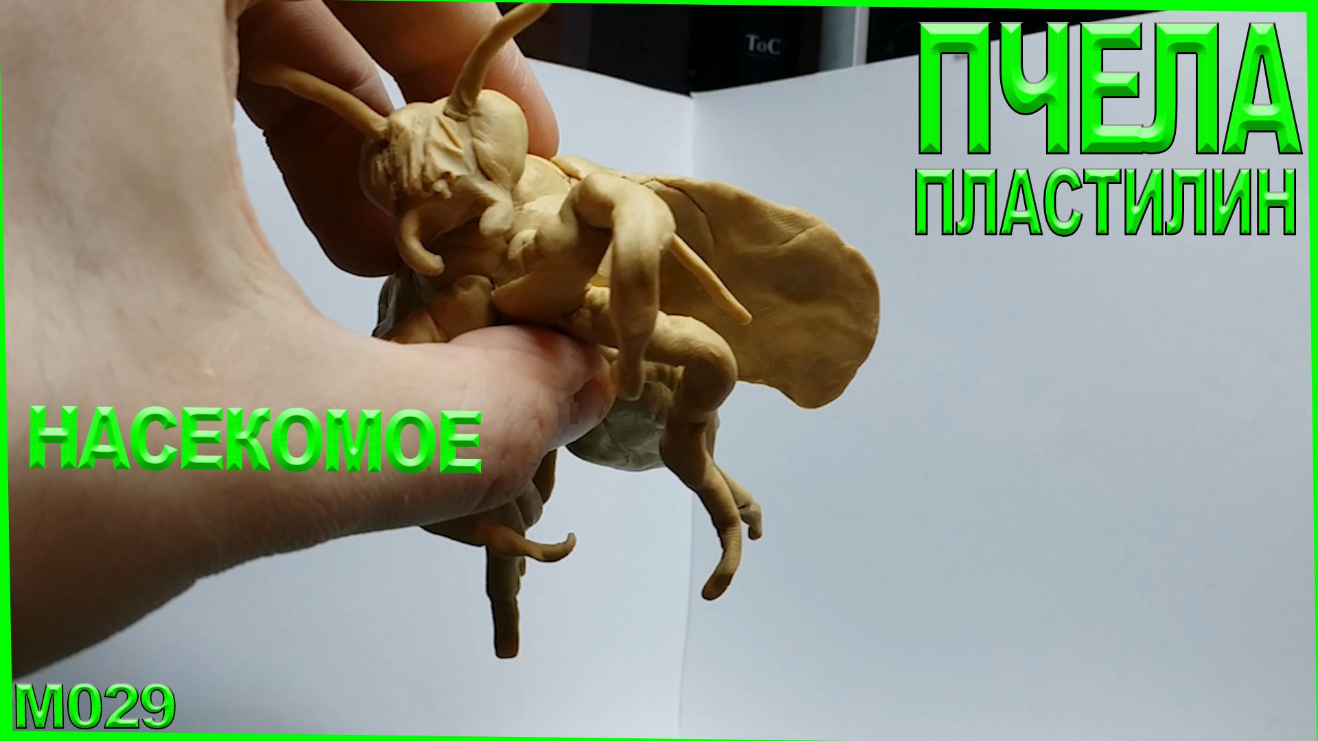 Как слепить пчелу из пластилина . Оса, шмель, шершень, пчёлка, мегахилы. Медовый спас - 14 августа смотреть онлайн