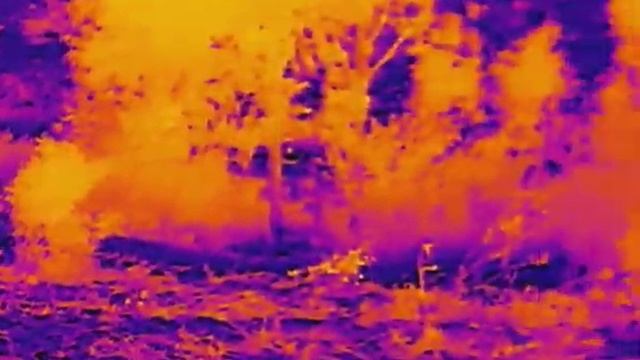 Hikmicro LH19 смотреть онлайн