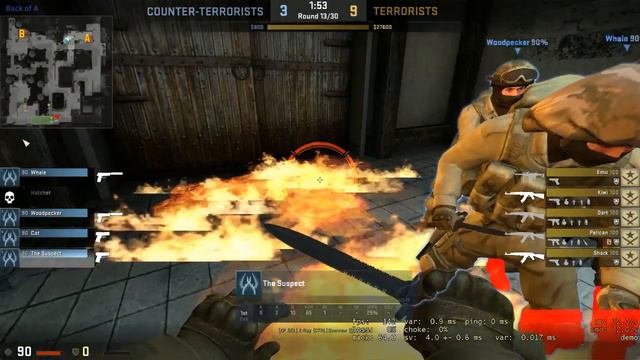 Stupidest overwatch case I've seen on CSGO смотреть онлайн