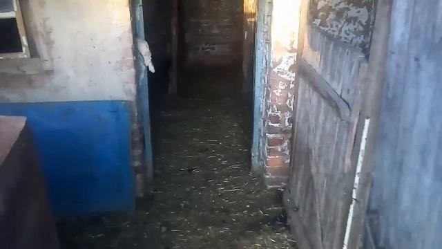 Пополнение в хозяйстве, у нашей Лошади родился жеребенок. смотреть онлайн