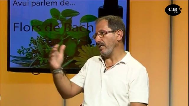 Flores De Bach - Terapeuta Christian Otálvares -