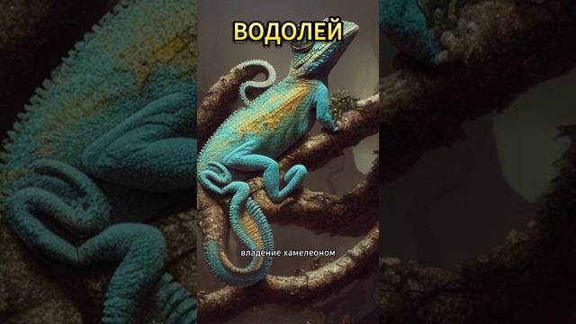 ТВОЙ ИДЕАЛЬНЫЙ СПУТНИК СОГЛАСНО ЗНАКУ ЗОДИАКА??️ #астрология #знакизодиака #2024 смотреть онлайн