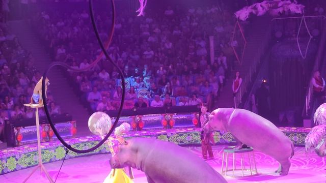 Цирк смотреть онлайн