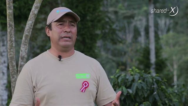 Tropic - X Entrevistas смотреть онлайн