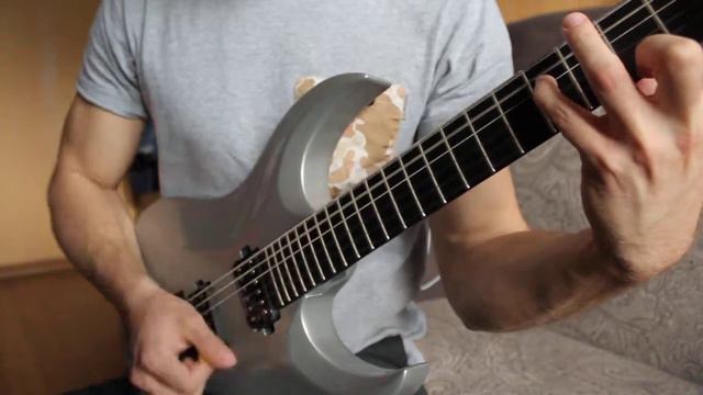 Washburn WM Test (Seymour Duncan Pickups)