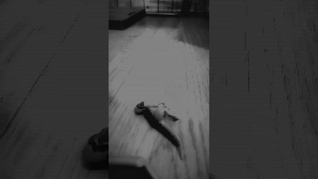 Смерть динозавров.падение метеоритов смотреть онлайн