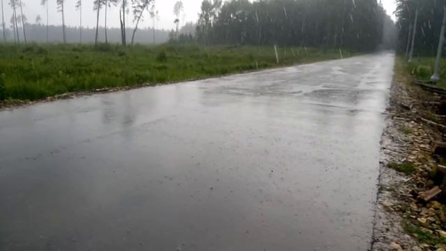 Heavy rain and weak thunderstorms in the field, 19 June 2017, Moscow region смотреть онлайн