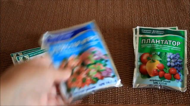 Чтобы хризантемы пышно цвели смотреть онлайн