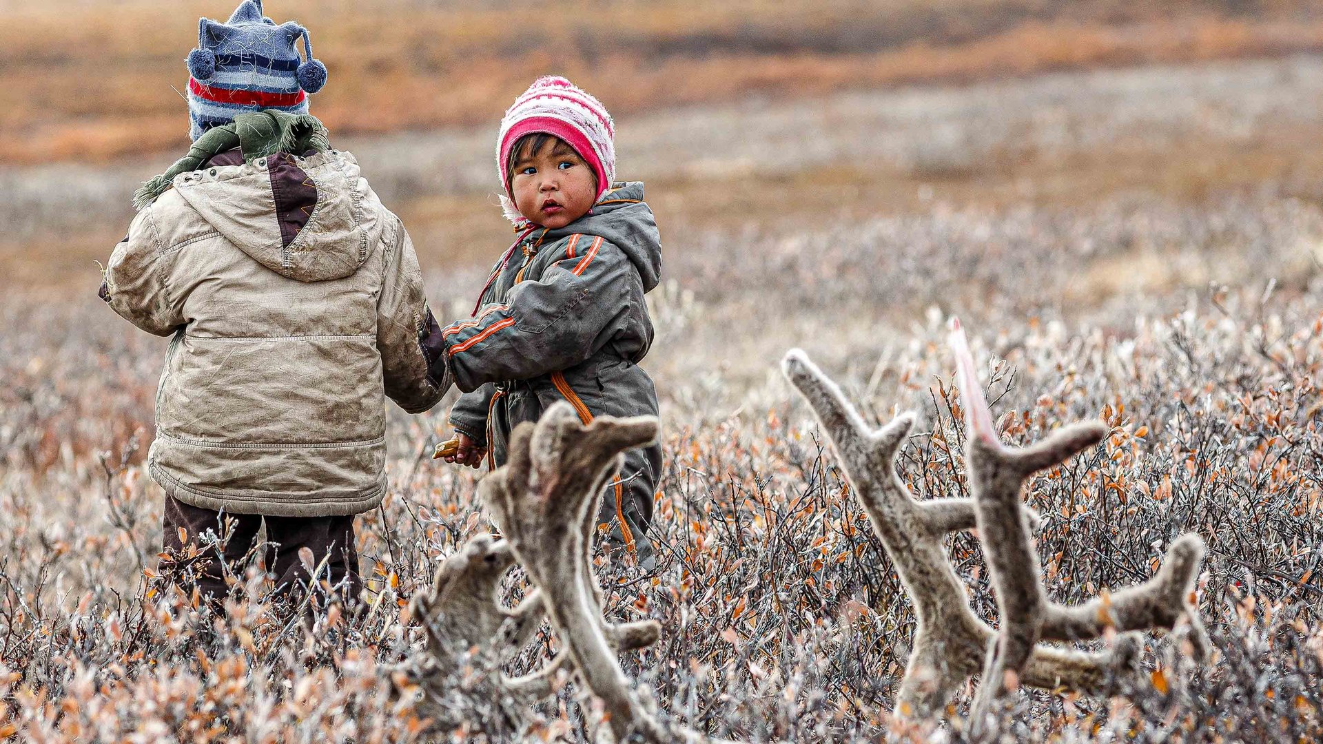 Как Тундра используется человеком. Где тундра в России. Как здесь живут люди | Факты смотреть онлайн