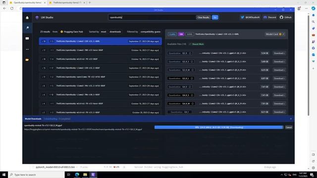 Install OpenBuddy LLM Locally on Windows with CPU смотреть онлайн