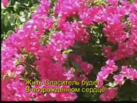 Кто Иисуса любит смотреть онлайн