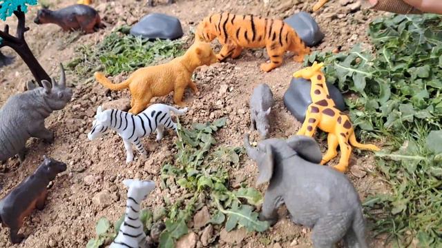 the Savannah part 1 смотреть онлайн