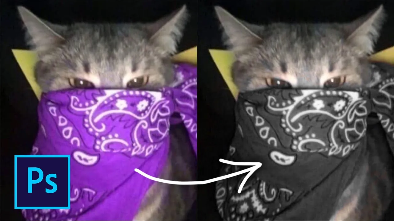 Как поменять любой цвет на чёрный в фотошопе смотреть онлайн