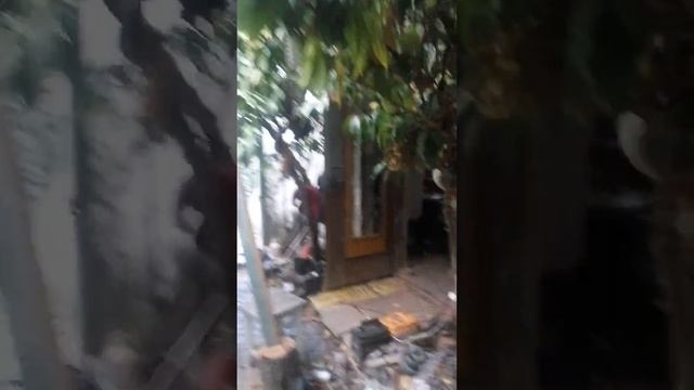 персики в теплице в Подмосковье созревают смотреть онлайн