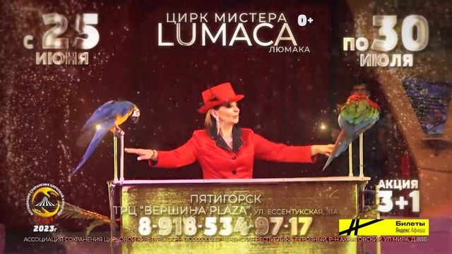 Цирк Мистера Lumaca в Пятигорске смотреть онлайн