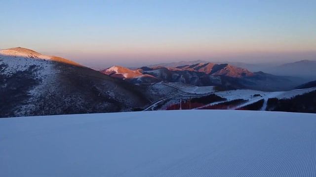 Прогулка перед сном с коллегой Пинг! смотреть онлайн