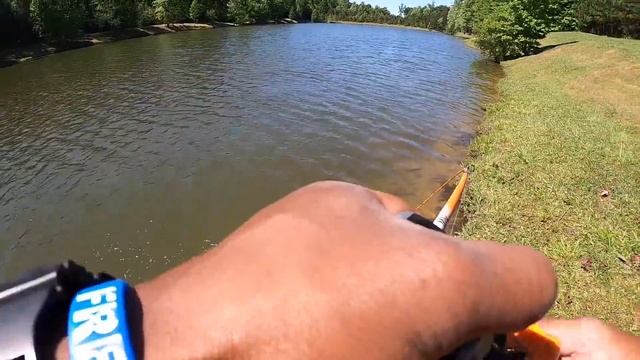 TESTING BRAND NEW COMBO FISHING $100 CHALLENGE (Abu Garcia MAX STX) смотреть онлайн
