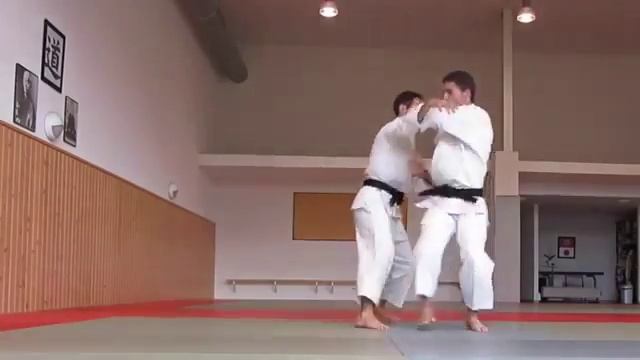 Applications Tai sabaki, Shintai, Yves GLOTIN смотреть онлайн