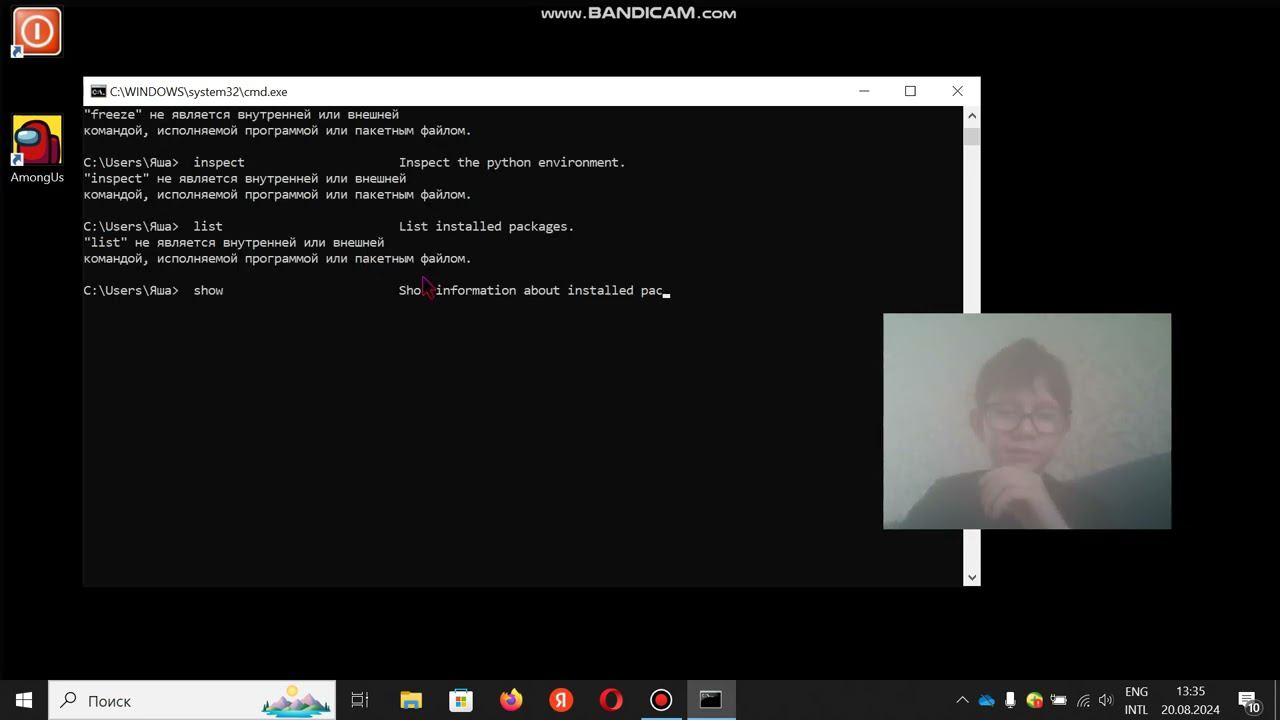 Как установить Python и pip? смотреть онлайн