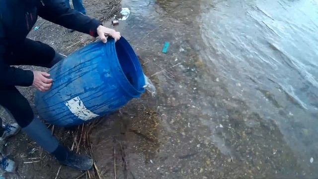 Зарыбление (карп) Водоема Тец2 Смоленск смотреть онлайн