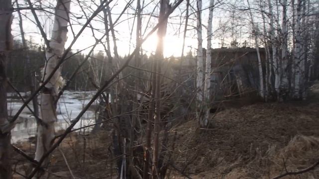 Мертвая дорога 2019