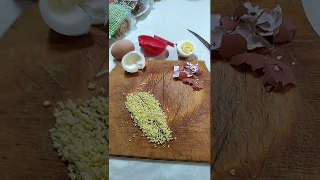 Корм для канареек, яичный желток, в период размножения смотреть онлайн