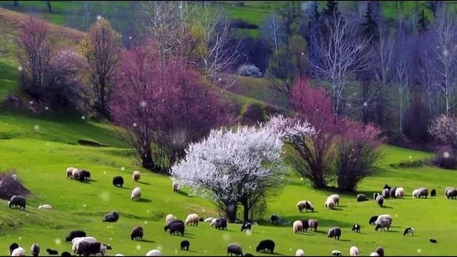 Soothing Relaxation Music Piano For Anxiety, Stress Relief, Insomnia, Calming Music, Pls Subscribe?