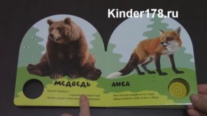Учись и веселись «Лес» Азбукварик. Видео-обзор