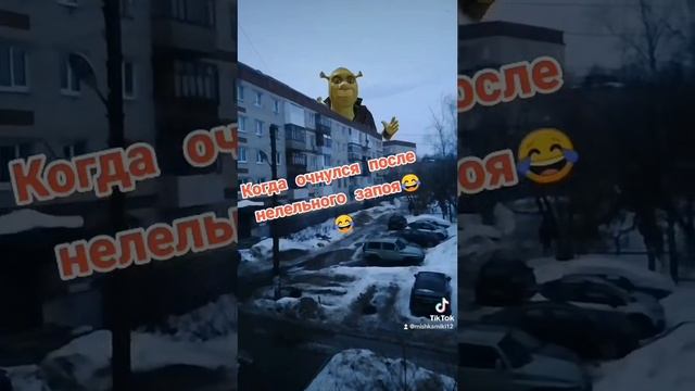 481e944dbb47f45e9c834cc8be84c236.mp4