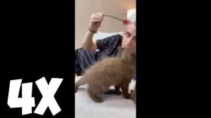 ВЛАД А4 ТАНЦУЕТ!   Ускорение танца x16   А4 С КОТИКАМИ!   Пуська   Смешные Моменты