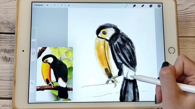 Тукан в акварельном стиле в Procreate смотреть онлайн