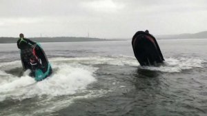 Покатушки на Sea-doo Spark Trixx