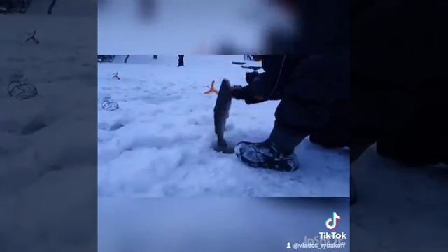 Рыбалка в Подмосковье,под наро-фоминском смотреть онлайн