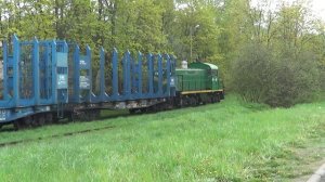 Тепловоз ТГМ4А-1615