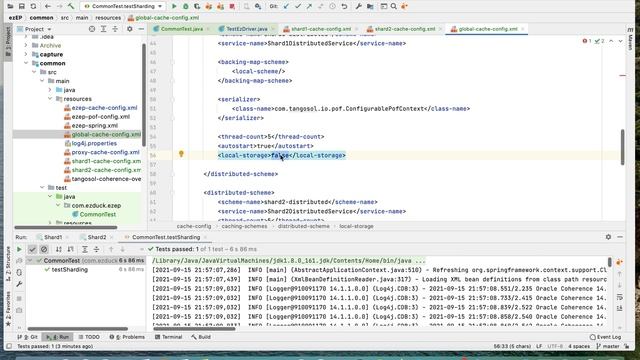 Data Sharding with Oracle Coherence смотреть онлайн