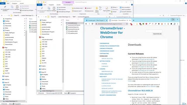 Check & Update chromedriver.exe смотреть онлайн
