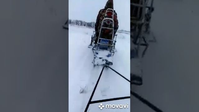 Катаемся на санях смотреть онлайн