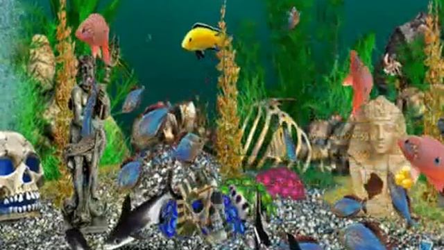 3D Аквариум   Заморские рыбки