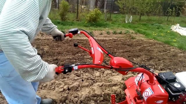 мотоблок Салют 100 GX 200 смотреть онлайн