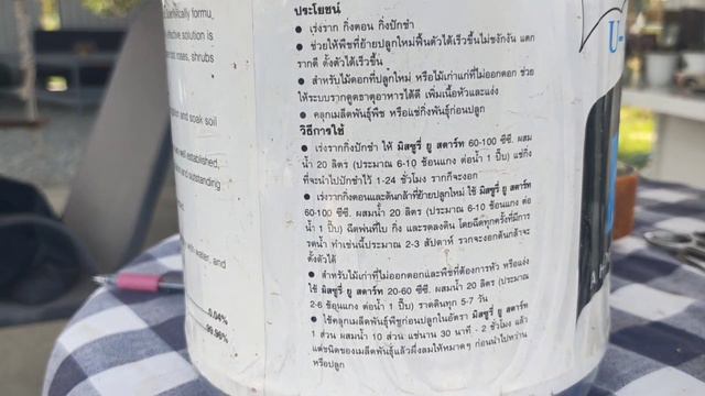 How to use vitamin B1 with Adenium by Ram Adenium style. смотреть онлайн