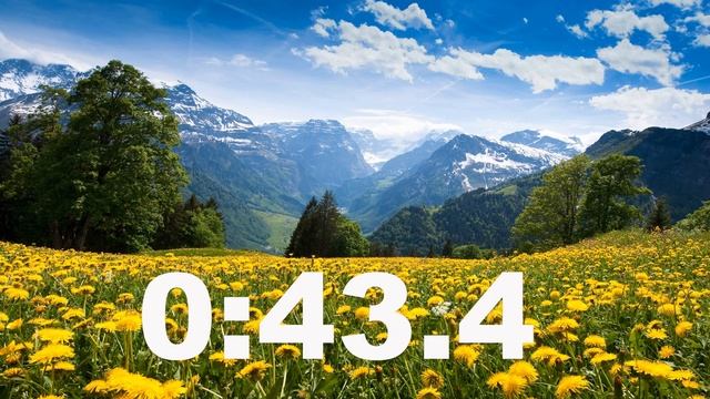 СЕКУНДОМЕР ⏱️ на 1 минуту онлайн со звуком