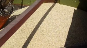 Открываем сезон уборки 2017 года. Дон 1500 Б готов к уборке.