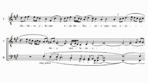 И.Толкачев Задостойник на Рождество Христово