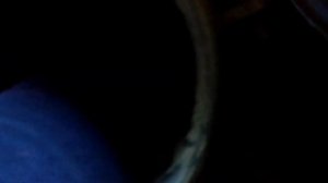 Зерновые в рационе коз