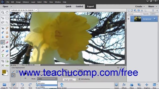 Photoshop Elements 2019 Tutorial The Color Replacement Tool Adobe Training смотреть онлайн